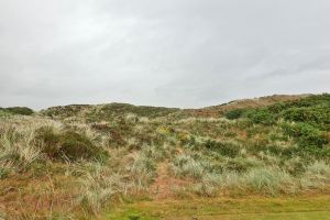 Royal County Down 11th 2025